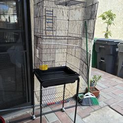 Birds Case 