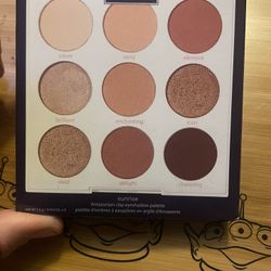 TARTE Sunrise Amazonian Clay Eyeshadow palette 9 shade