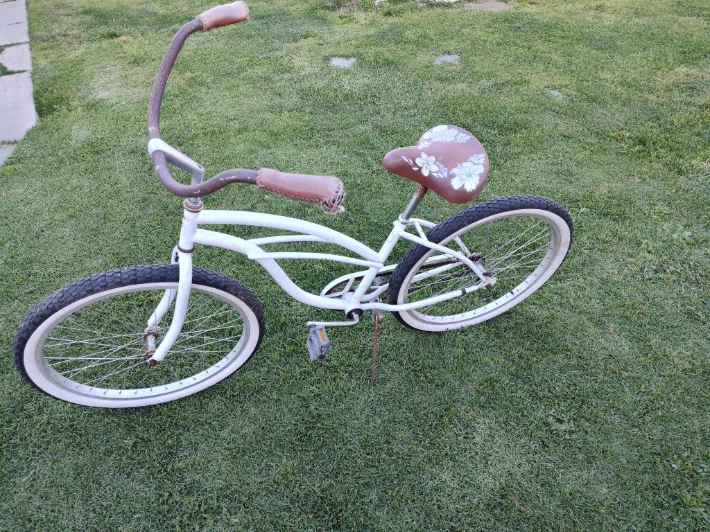 Beach Cruiser 