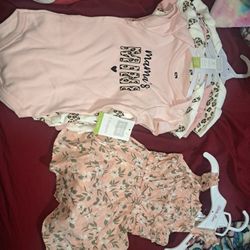Baby Girl Clothes Size 9m