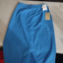 Small Nordstrom Skirt