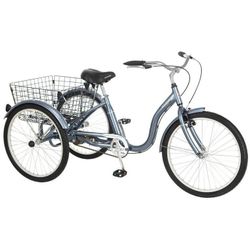 Schwinn Trike