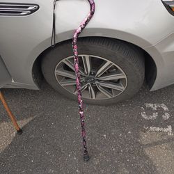 Small Adjustable Cane
