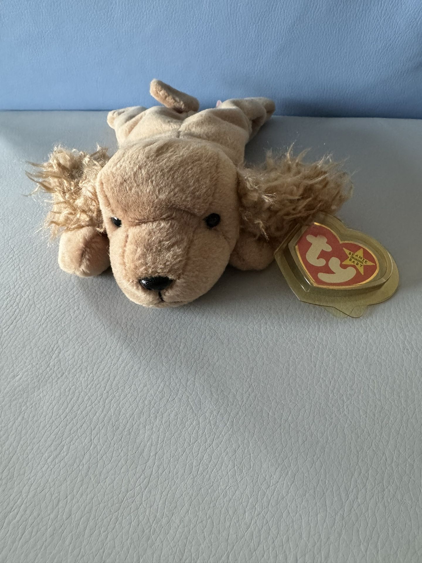 Spunky the Cocker Spaniel – TY Beanie Baby