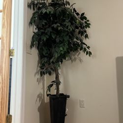 Artificial plant 