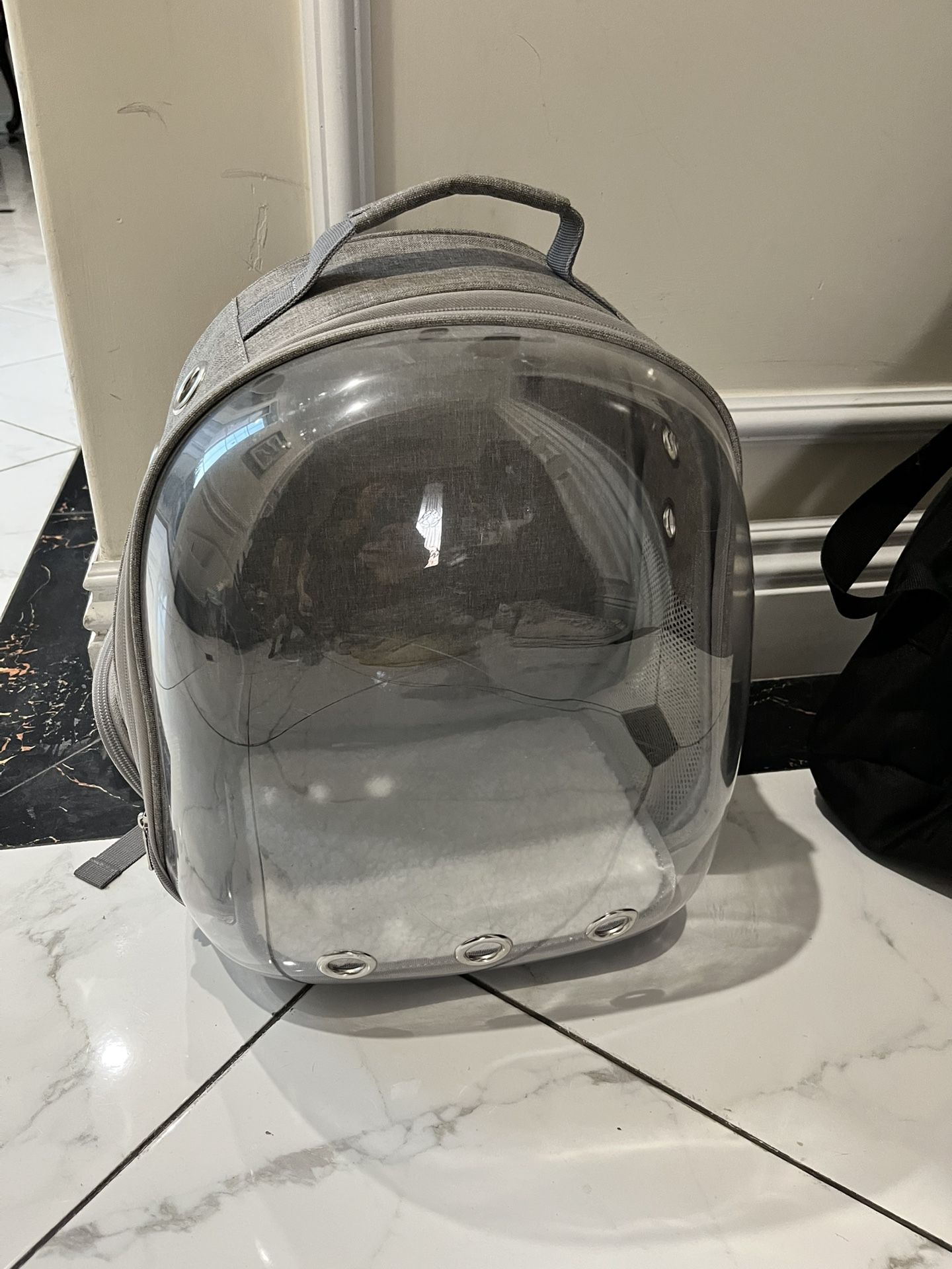 Cat Bag