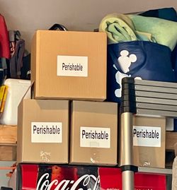 Free shipping coolers
