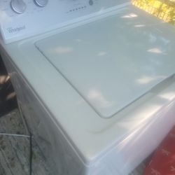 $160 Labadora 
