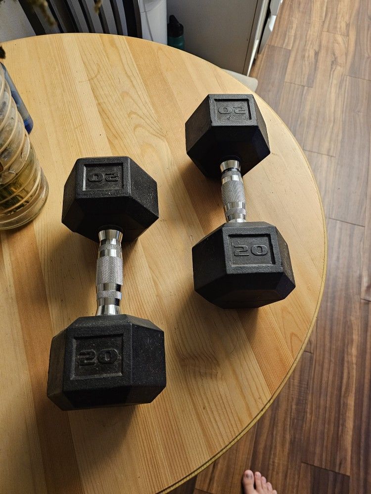 Dumbbells 20 Pounds