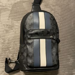 Coach Side Bag