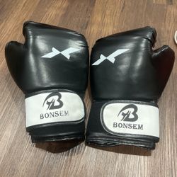 Boxing Gloves For Bag