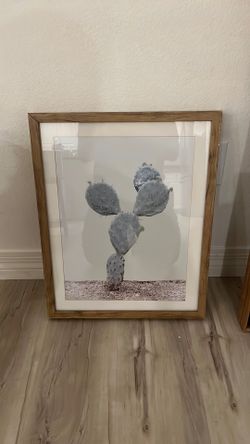 Cactus Painting