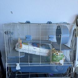 Hamster Cage 