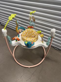 Fisher Price Baby Bouncer