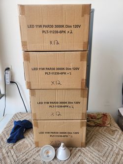 X48  L.E.D. Bulbs