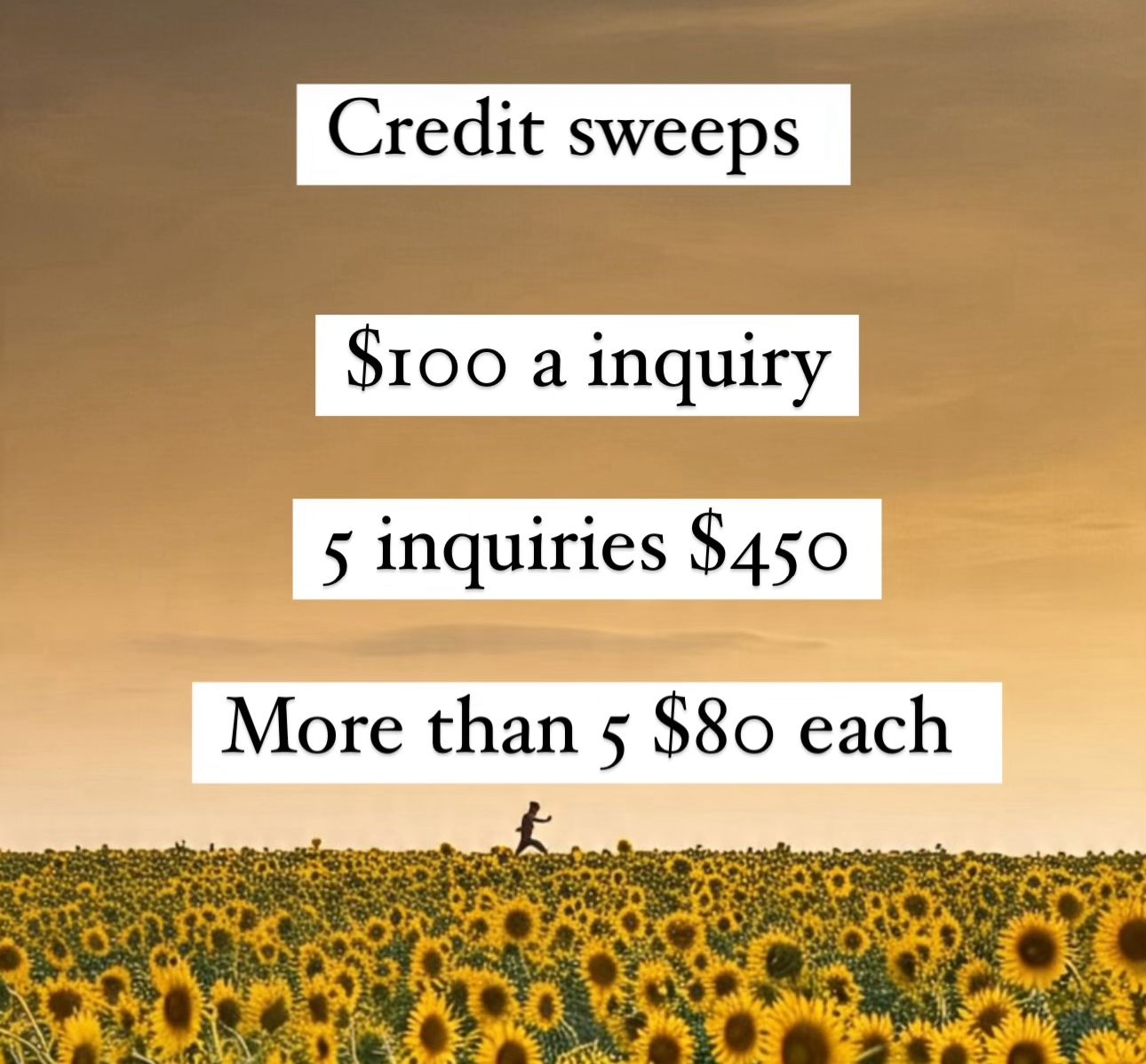 Credit Repair (ATL)