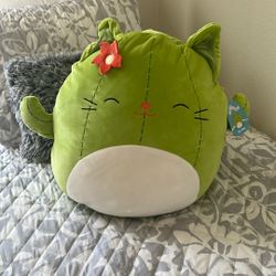 Cat Cactus Squishmallow 