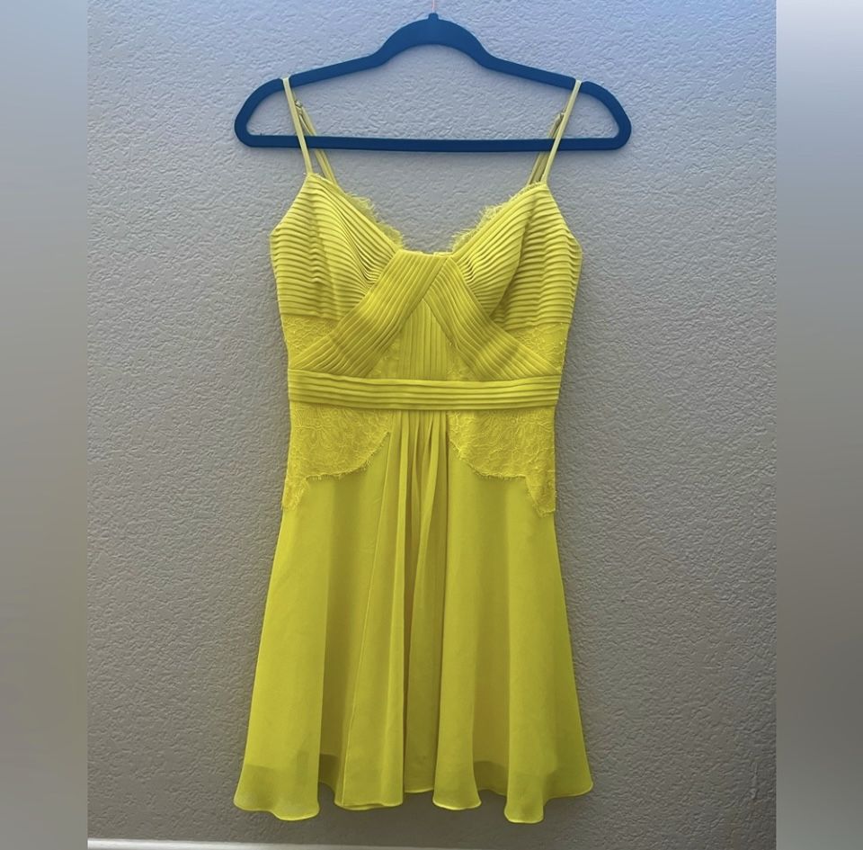 Brand NEW BCBG Summer Dress
