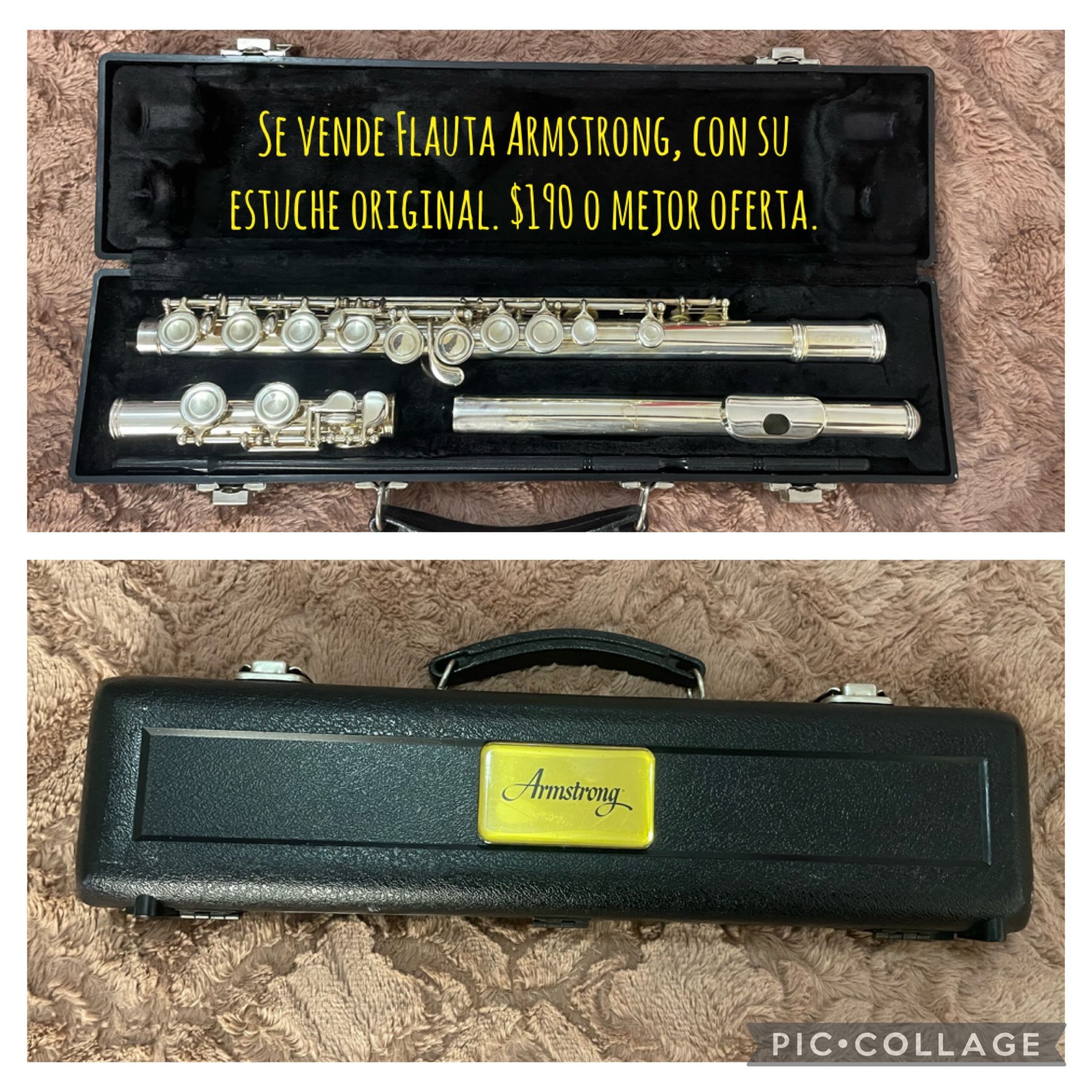 Flute with The Case