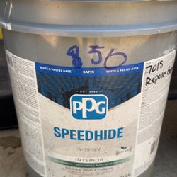 5 Gallon Paint 