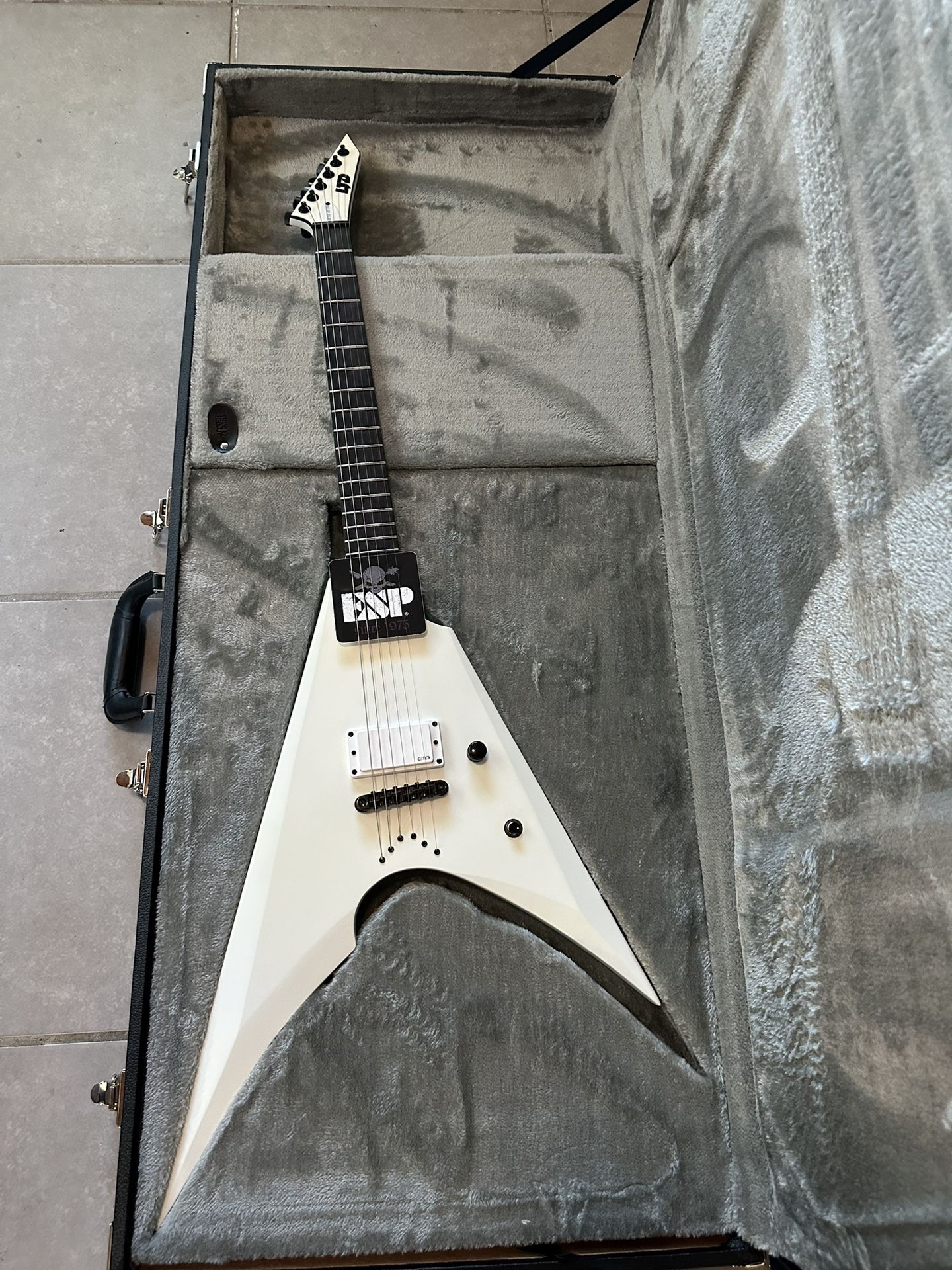 ESP Artic Metal Arrow Electric Guitar