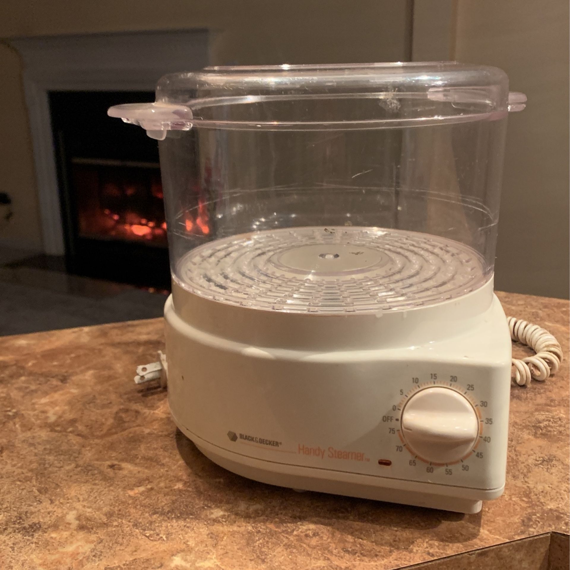 Black & Decker Handy Steamer