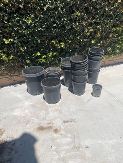 Free potting pots
