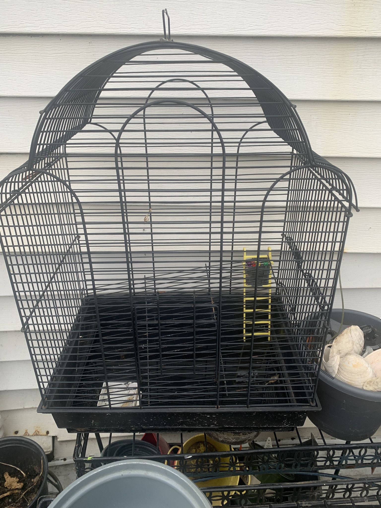 Bird Cage
