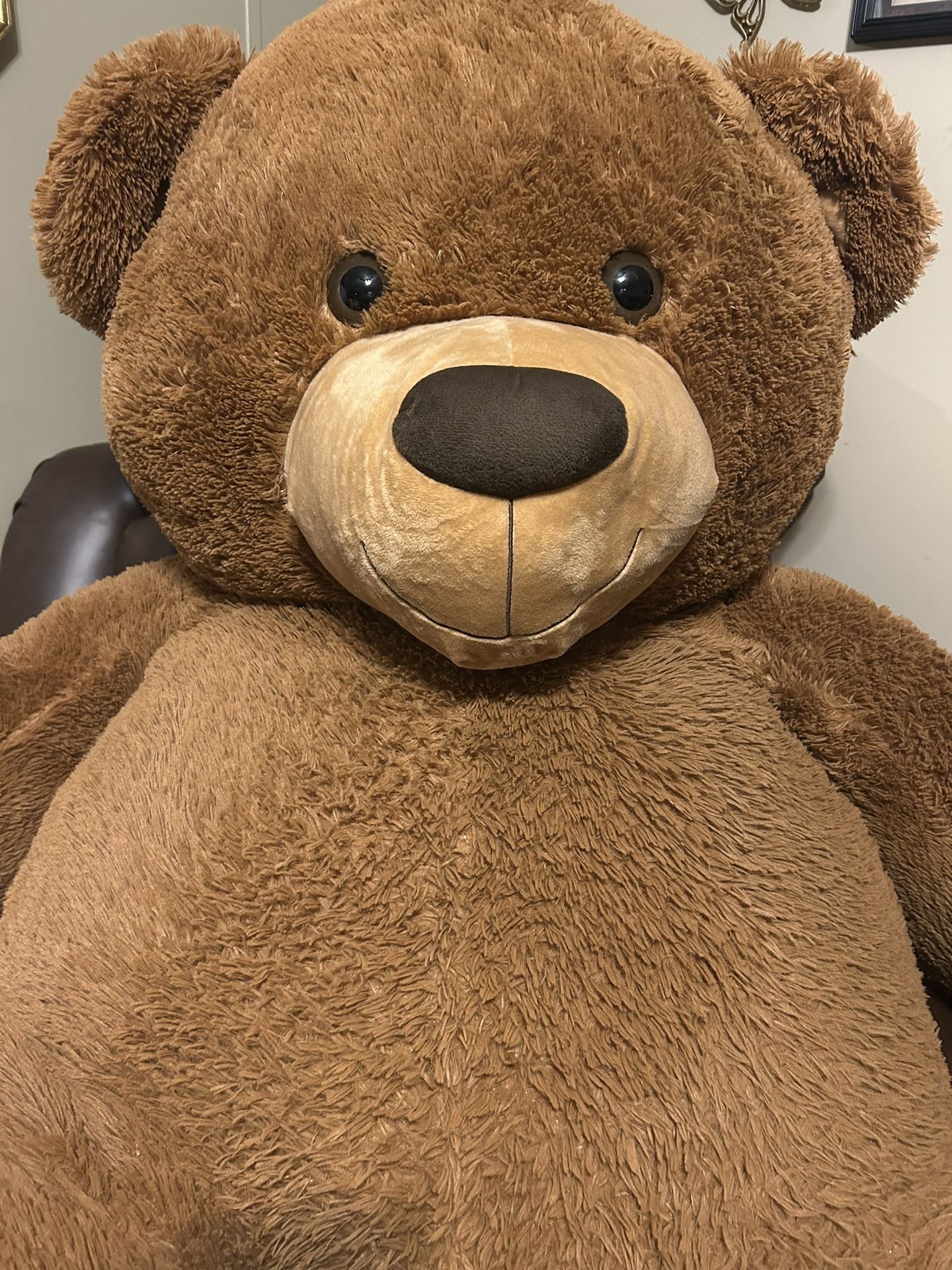 Teddy Bear
