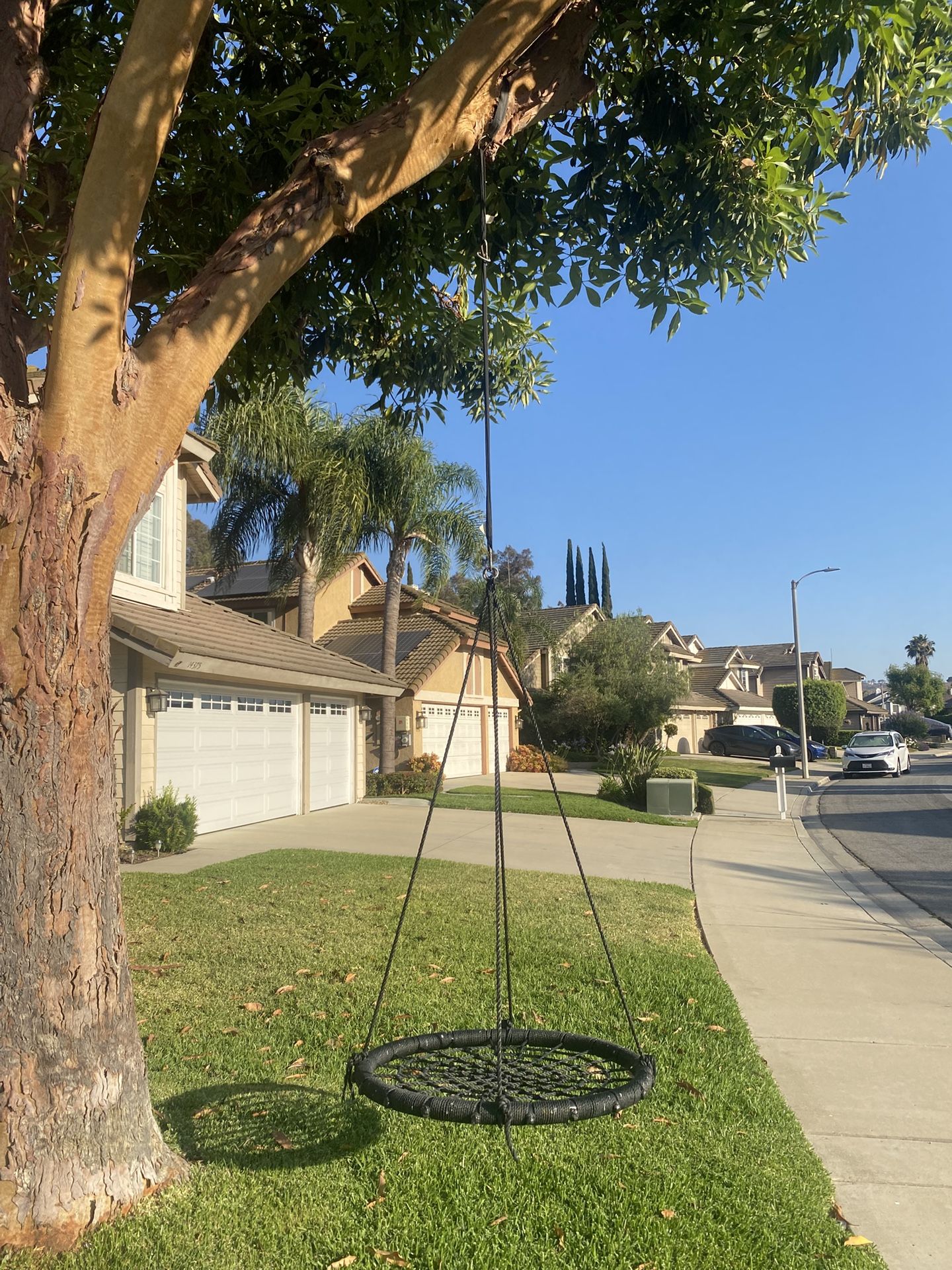 Kids Tree Swing