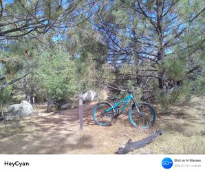 Mountain bike