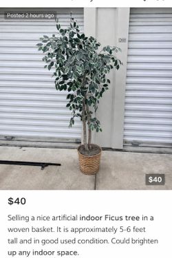 Artificial Ficus Tree – 5–6 ft – Realistic & Stylish