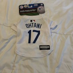 Dodger Dog Jersey