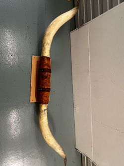 Authentic bull horns