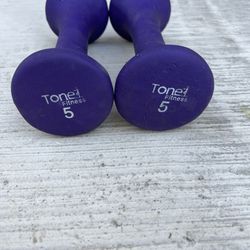 A pair of 5 pound dumbbells. In great shape