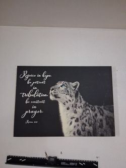 Beautiful picture