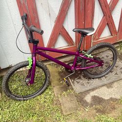 2000s Haro Backtrail 20” BMX Bike 