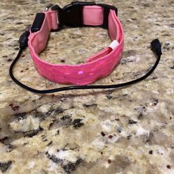 Light Up Dog Collar