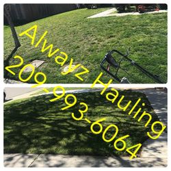 Lawn mowing 40 Special Mow And Go 