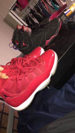 Raptor 11s hotsell