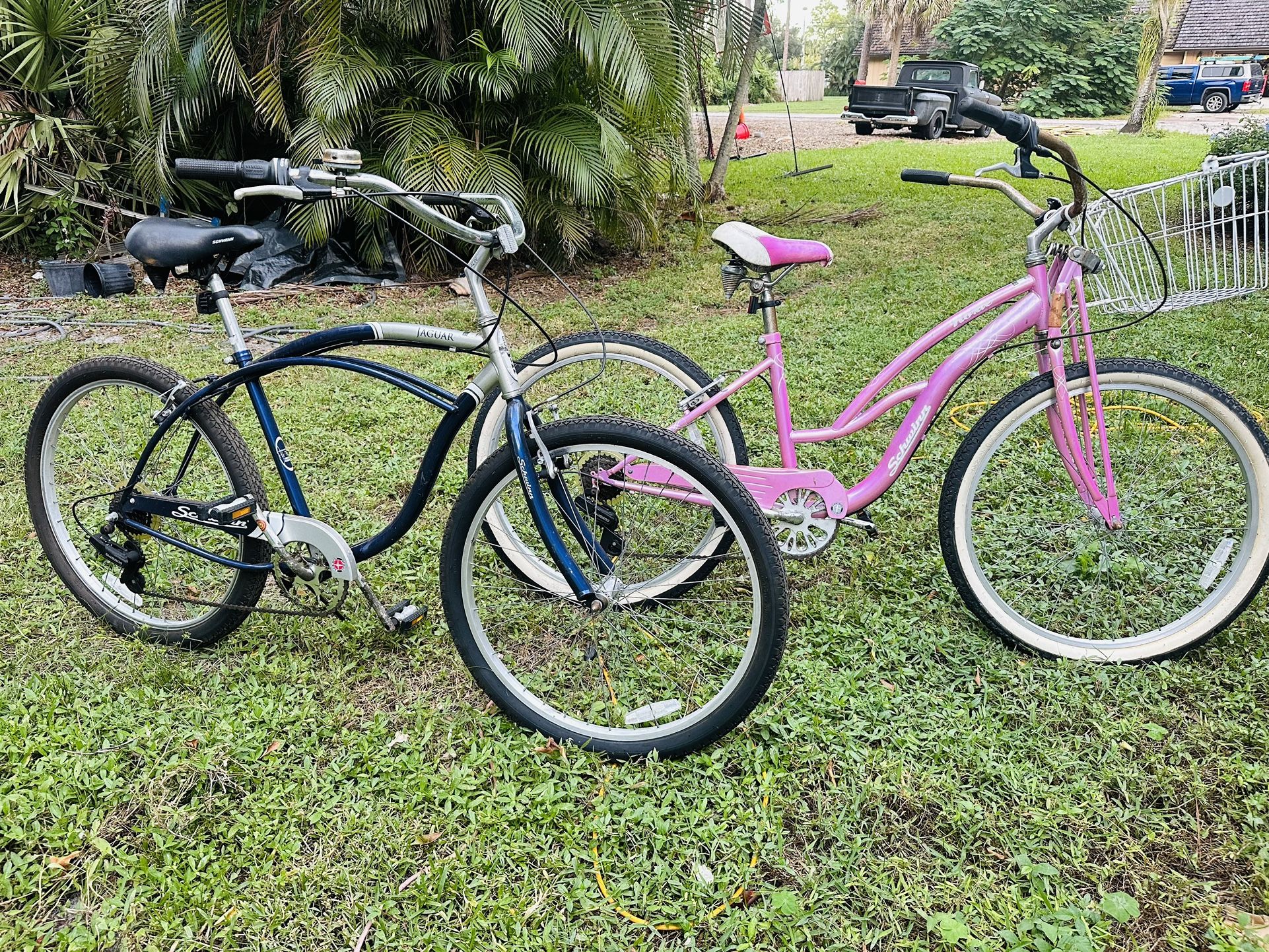 2 adult bikes SCHWINN. Purchased NEW $450 each never used sat in storage
