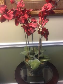 Silk plants and Accessories