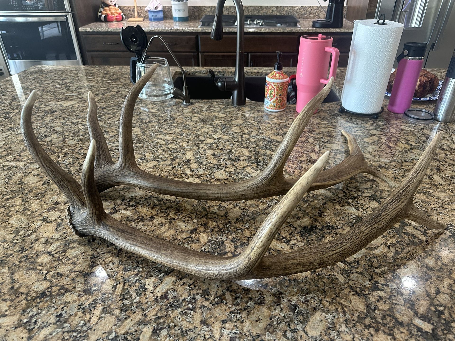 She’d Elk Antlers