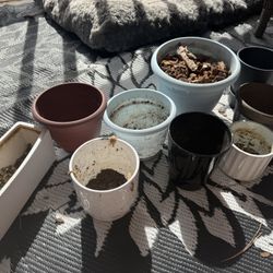 Plant Pots