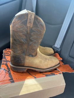 Red wing Irish setters