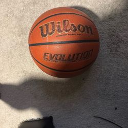 Wilson evolution basketball