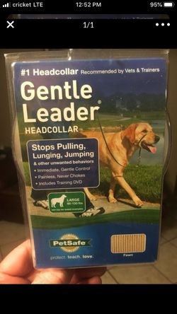 Gentle Leader (Large)