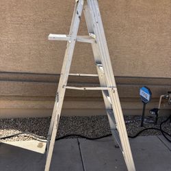 6ft Ladder 