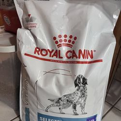 Royal canin dog food