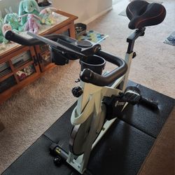 DeerRun Stationary bike